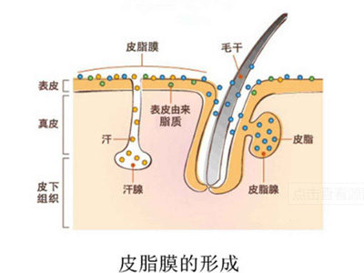 秋冬皮肤易起皮可以用敏感肌面霜吗